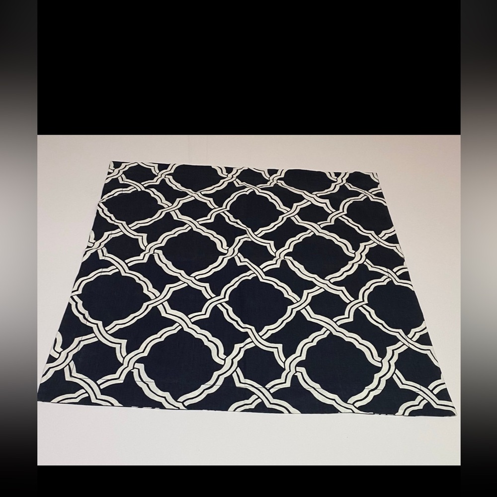 POTTERY BARN EURO PILLOW COVERS-2